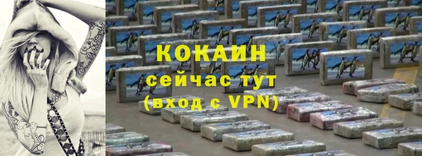 шишки Богданович