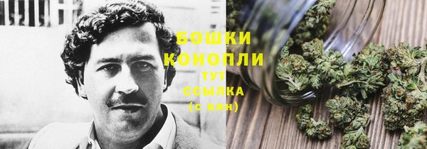ECSTASY Богородск