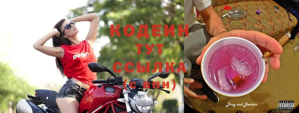 шишки Богданович