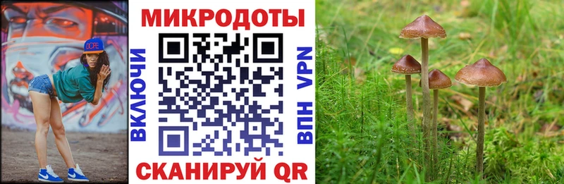 Галлюциногенные грибы мухоморы  что такое наркотик  MEGA зеркало  Петрозаводск 